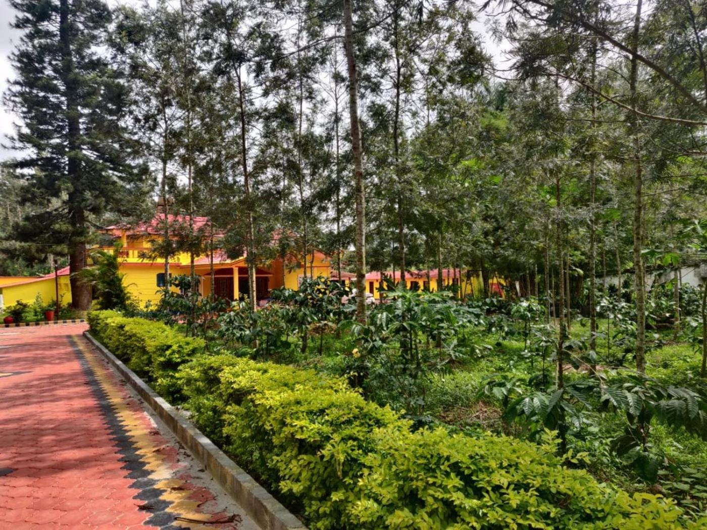 Coffeebean Villa - Unwind & Rejuvenate Саклешпур Экстерьер фото